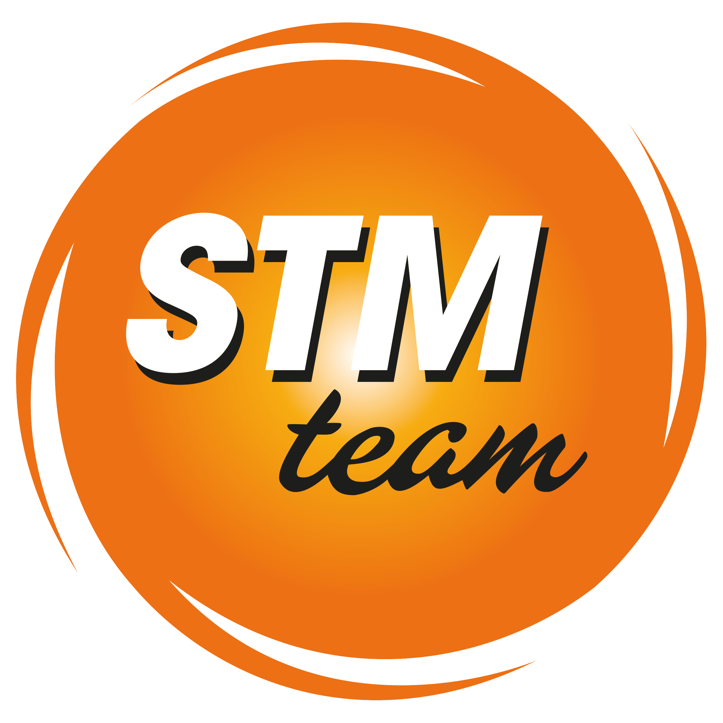 STM Power Transmission Ltd